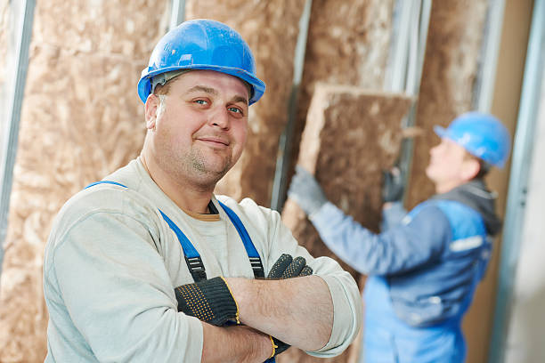 Best Basement Insulation  in Waltham, MA